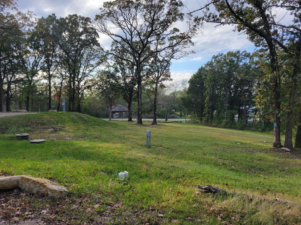 An open grassy area with shade trees at the end of Cali Lane, used as a dog-walking space.