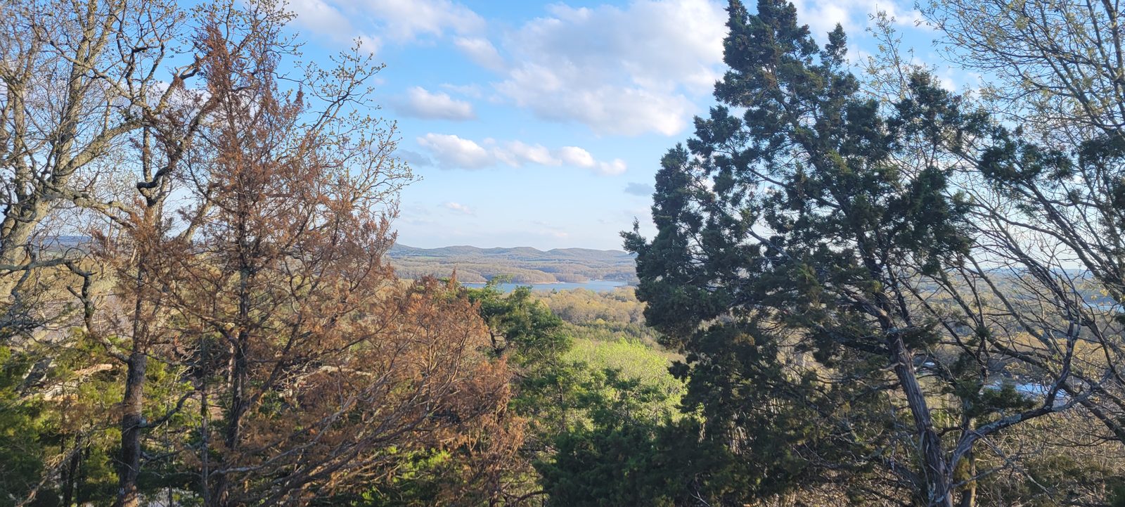Table Rock Lake and green Ozark shoreline on a clear spring day.