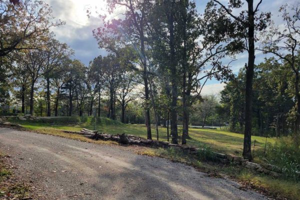 park-like-setting park-like-setting